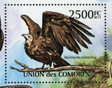 Vultures Stamp Bird Necrosyrtes Monachus Souvenir Sheet MNH #3041 / Bl.628