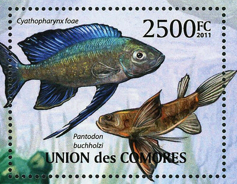 Fish Stamp Neolamprologus Brichardi Melanochromis Auratus S/S MNH #3006 / Bl.623