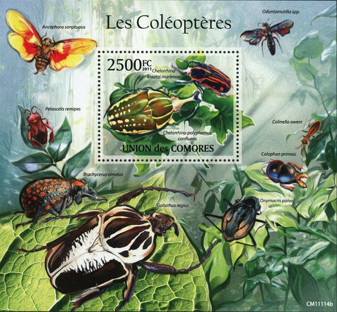 Beetles Stamp Chelorrhina Polyphemus Confluens Insect S/S MNH #2970 / Bl.617