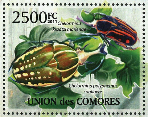 Beetles Stamp Chelorrhina Polyphemus Confluens Insect S/S MNH #2970 / Bl.617