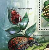 Beetles Stamp Chelorrhina Polyphemus Confluens Insect S/S MNH #2970 / Bl.617