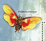 Beetles Stamp Chelorrhina Polyphemus Confluens Insect S/S MNH #2970 / Bl.617