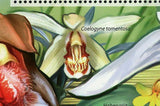 Orchids Stamp Coelogyne Triplicatula Coelogyne Speciosa S/S MNH #2958 / Bl.615