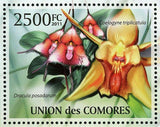 Orchids Stamp Coelogyne Triplicatula Coelogyne Speciosa S/S MNH #2958 / Bl.615