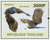 Owls Stamp Bird Bubo Virginianus Asio Otus Athene Noctua S/S MNH #3898 / Bl.589