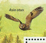 Owls Stamp Bird Bubo Virginianus Asio Otus Athene Noctua S/S MNH #3898 / Bl.589