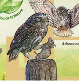 Owls Stamp Bird Bubo Virginianus Asio Otus Athene Noctua S/S MNH #3898 / Bl.589