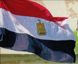 African Football Cup of Nations Stamp Football Team of Egypt S/S MNH #3687