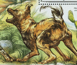 Wild Dogs Stamp Cactus Plant Lycaon Pictus Canis Lupus Dingo S/S MNH #3232