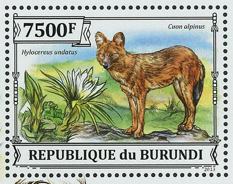 Wild Dogs Stamp Cactus Plant Lycaon Pictus Canis Lupus Dingo S/S MNH #3232