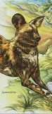 Wild Dogs Stamp Cactus Plant Lycaon Pictus Canis Lupus Dingo S/S MNH #3232