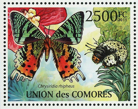 Butterflies Stamp Morpho Didius Vanessa Cardui Souvenir Sheet MNH #2994 / Bl.621