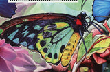 Butterflies Stamp Morpho Didius Vanessa Cardui Souvenir Sheet MNH #2994 / Bl.621