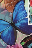 Butterflies Stamp Morpho Didius Vanessa Cardui Souvenir Sheet MNH #2994 / Bl.621