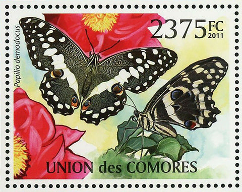 Butterflies Stamp Delias Eucharis Papilio Demodocus S/S MNH #2993 / Bl.620