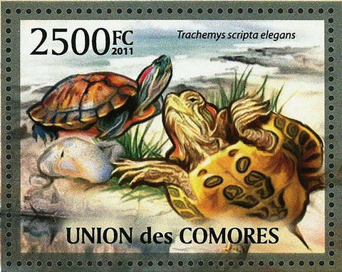 Turtles Stamp Trachemys Scripta Pelomedusa Subrufa S/S MNH #3012 / Bl.624