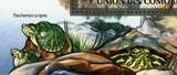 Turtles Stamp Trachemys Scripta Pelomedusa Subrufa S/S MNH #3012 / Bl.624