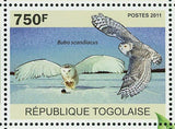 Owls Stamp Bird Tyto Alba Surnia Ulula Bubo Scandiacus S/S MNH #3894-3897