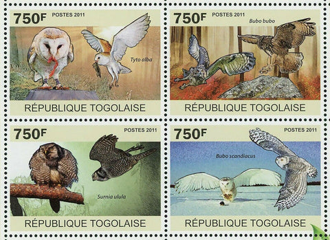 Owls Stamp Bird Tyto Alba Surnia Ulula Bubo Scandiacus S/S MNH #3894-3897