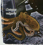Submarines Stamp Turtle 1776 Octopus Vulgaris Marine Fauna S/S MNH #1923 /Bl.445