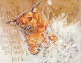 Dogs Stamp Dogue de Bordeaux Boerboel Irish Terrier S/S MNH #3078-3081