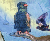 Raptors Stamp Birds Aquila Rapax Rapax Haliaeetus Vocifer S/S MNH #3011-3014