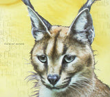 Wild Cats Stamp Felis Margarita Caracal Aurata Pardofelis S/S MNH #3037-3040