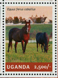 Horses Stamp Domestic Animals Pet Equus Ferus Caballus S/S MNH #3300-3303