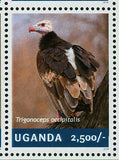 Vultures Stamp Vultur Gryphus Gyps Fulvus Bird Gyps Coprotheres S/S MNH #3255-32