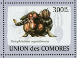 Fish Stamp Latimeria Chalumnae Scorpaena Scrofa Lophius Americanus S/S MNH #2107