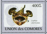 Fish Stamp Latimeria Chalumnae Scorpaena Scrofa Lophius Americanus S/S MNH #2107