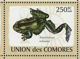 Frogs Stamp Xenopus Laevis Mantella Aurantiaca Pyxicephalus S/S MNH #2163-2168