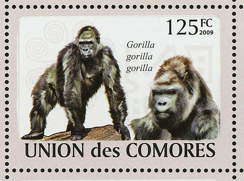 Gorillas Stamp Gorilla Beringei Graueri Diehli Souvenir Sheet MNH #2142-2147