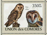 Owls Stamp Otus Pembaensis Tyto Alba Strix Woodfordii S/S MNH #2191-2196