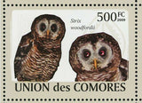 Owls Stamp Otus Pembaensis Tyto Alba Strix Woodfordii S/S MNH #2191-2196