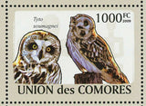 Owls Stamp Otus Pembaensis Tyto Alba Strix Woodfordii S/S MNH #2191-2196