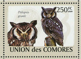 Owls Stamp Otus Pembaensis Tyto Alba Strix Woodfordii S/S MNH #2191-2196