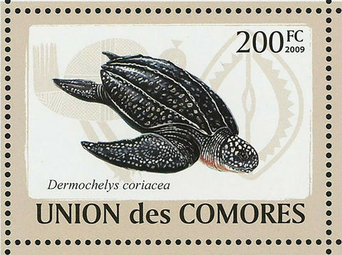 Turtles Stamp Dermochelys Coriacea Chelus Fimbriatus S/S MNH #2177-2182