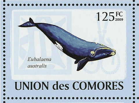 Whales Stamp Eubalaena Australis Balaenoptera Musculus S/S MNH #2121-2126