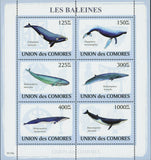 Whales Stamp Eubalaena Australis Balaenoptera Musculus S/S MNH #2121-2126