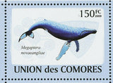 Whales Stamp Eubalaena Australis Balaenoptera Musculus S/S MNH #2121-2126