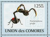 Beetles Stamp Trachelophorus Giraffa Scarites Guineensis S/S MNH #2093-2098