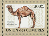 Camels Stamp Camelus Dromedarius Camelus Bactrianus S/S MNH #2128-2133