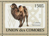 Camels Stamp Camelus Dromedarius Camelus Bactrianus S/S MNH #2128-2133