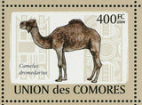 Camels Stamp Camelus Dromedarius Camelus Bactrianus S/S MNH #2128-2133