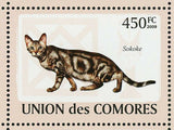 Cats Stamp Sokoke Egyptian Mau Abyssinian Cat Breeds S/S MNH #2205-2210