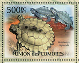 Turtles Stamp Pelochelys Cantorii Geochelone Sulcata S/S MNH #3007-3011