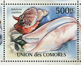 Shells Stamp Seashell Cypraea Tigris Charonia Tritonis S/S MNH #2959-2963