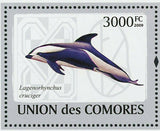 Dolphins Stamp Delphinus Capensis Lagenorhynchus Obscurus S/S MNH #2204 / Bl.486