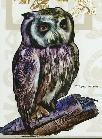 Owls Stamp Ptilopsis Leucotis Bubo Africanus Bird S/S MNH #2197 / Bl.485